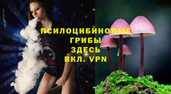 мяу мяу мука Осинники