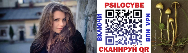 Галлюциногенные грибы Psilocybine cubensis как найти закладки Заволжск